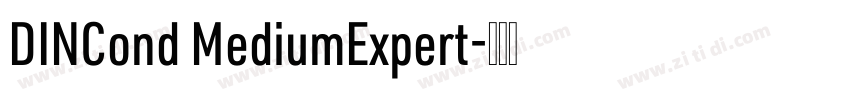 DINCond MediumExpert字体转换